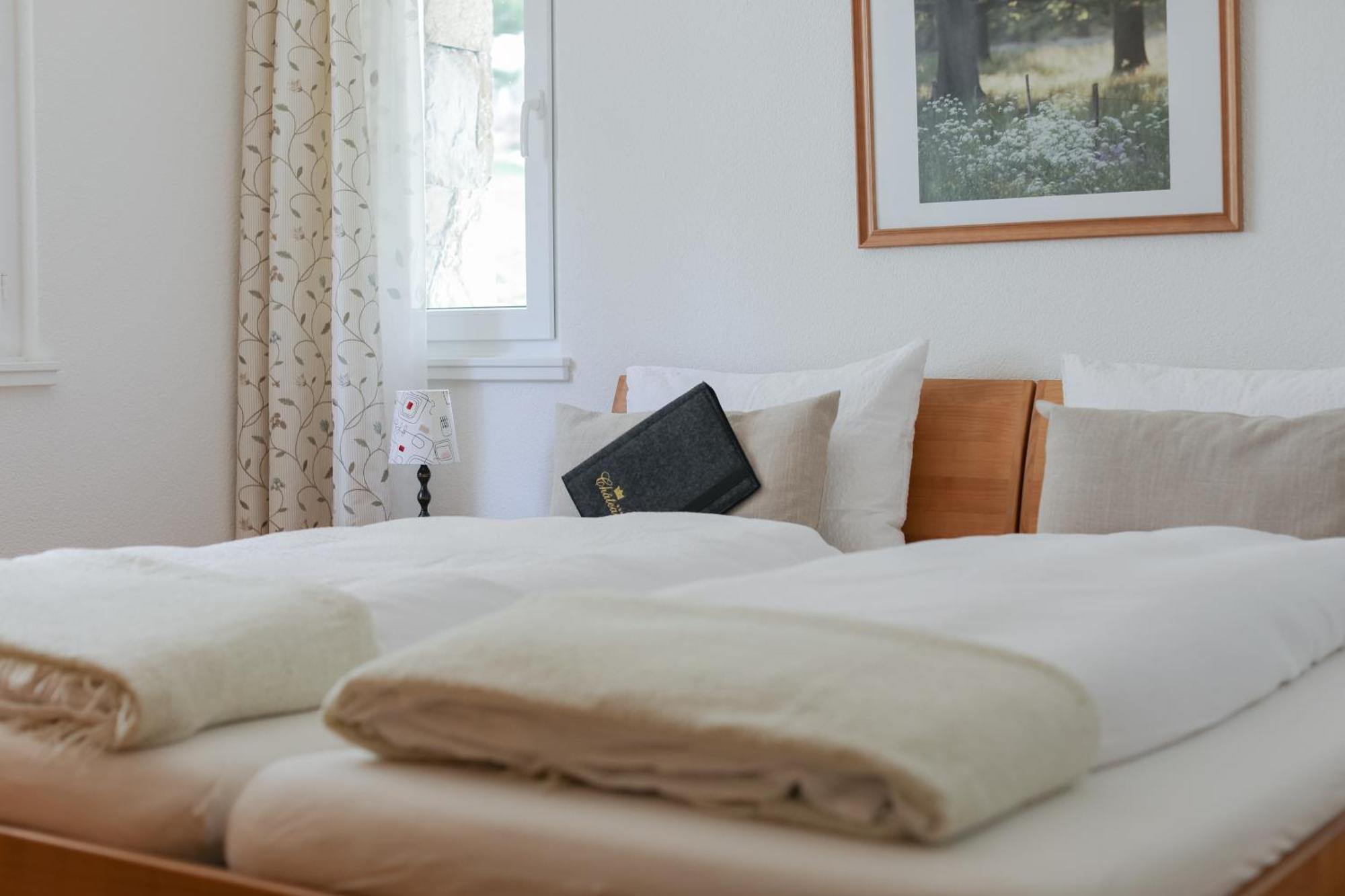 Chateau Saas-Fee